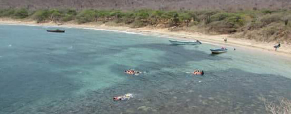 Slider2 Bahia Concha